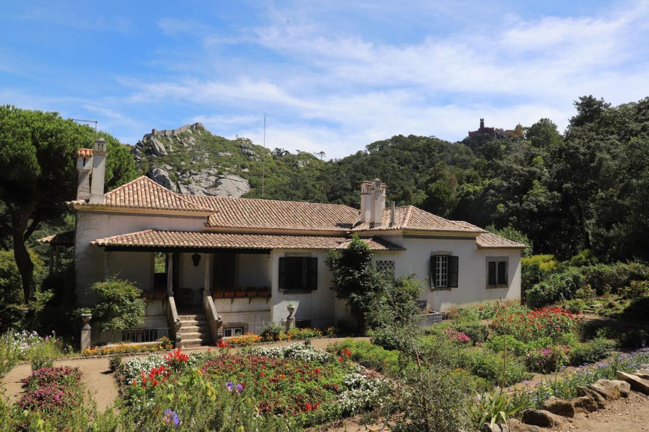 Chalet Chapéu de Sol - Sintra Exterior foto