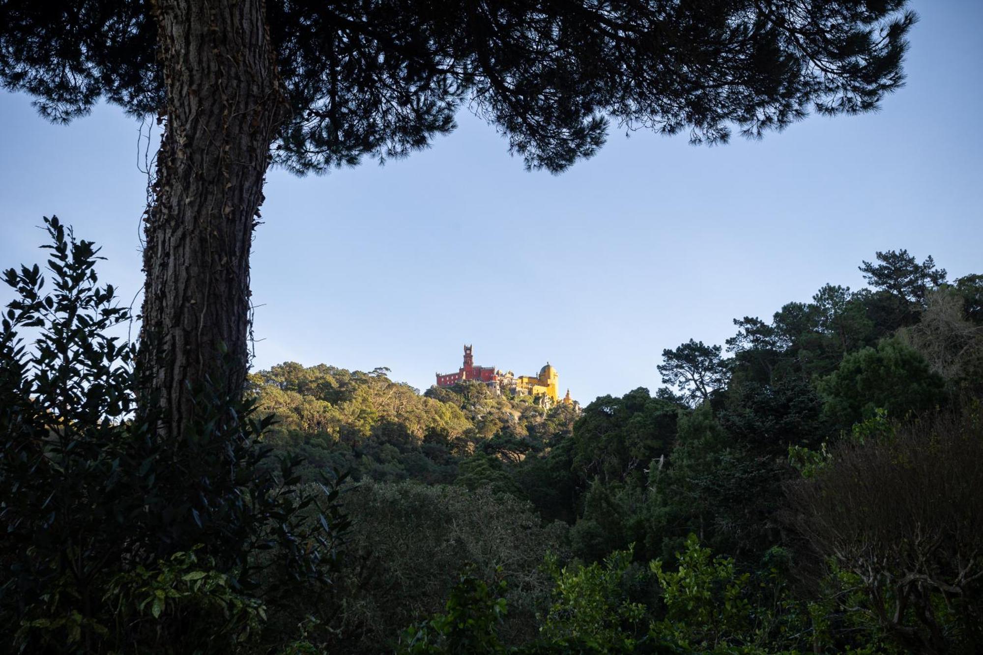 Chalet Chapéu de Sol - Sintra Exterior foto